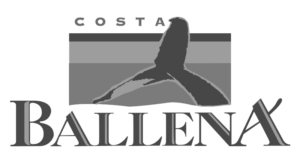 costa-ballena (1)
